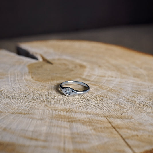 Der kleinste Siegelring der Welt