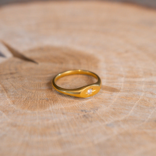 Kleinster Siegelring der Welt, oval